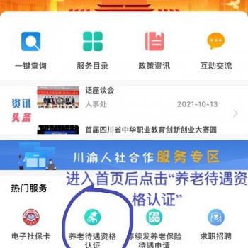 下载人社应用(人社app怎么下载)下载