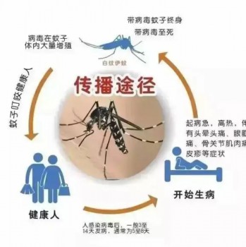 科技资讯先知(最前沿的科技资讯app)下载