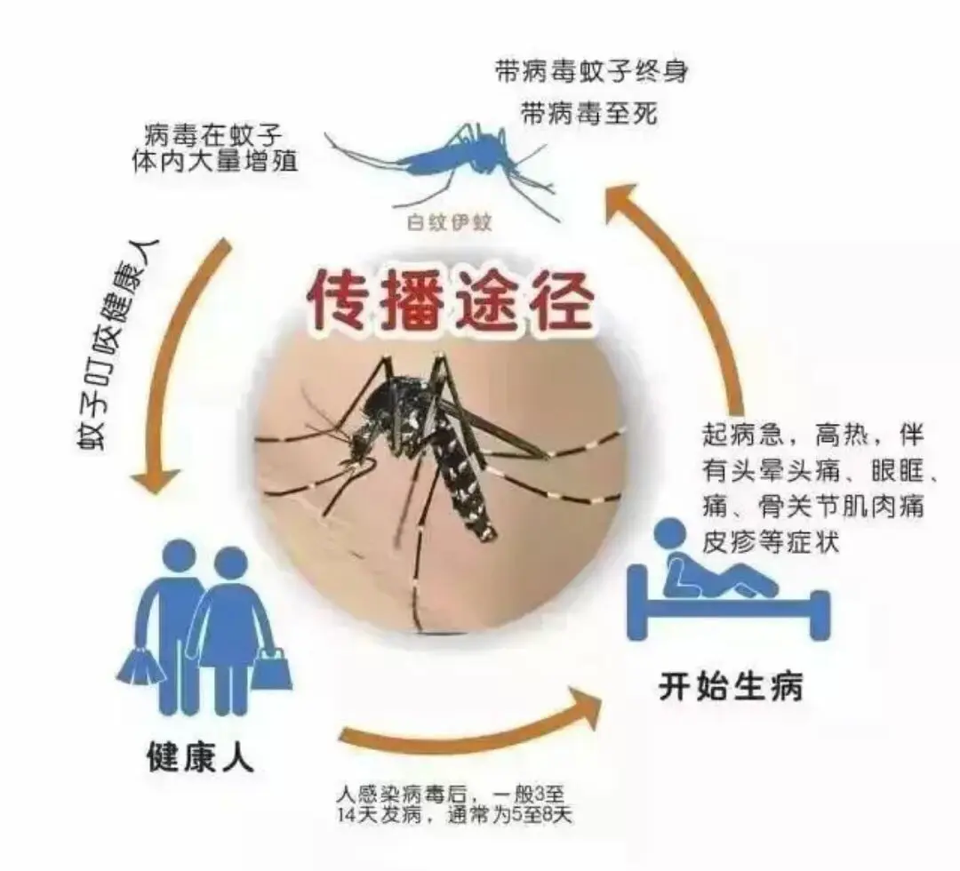 科技资讯先知(最前沿的科技资讯app)下载