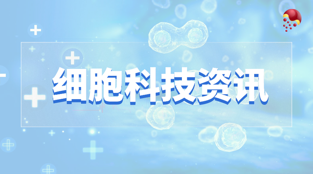 科技资讯杂志社简介(科技资讯杂志社简介怎么写)下载